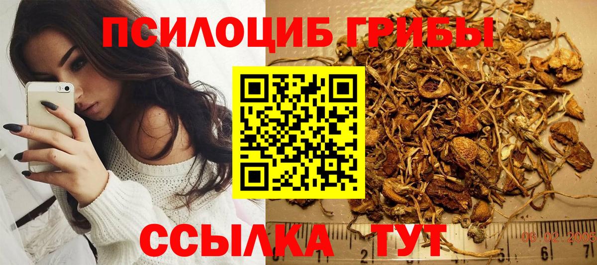 Псилоцибиновые грибы прущие грибы  Вход с VPN  Протвино 