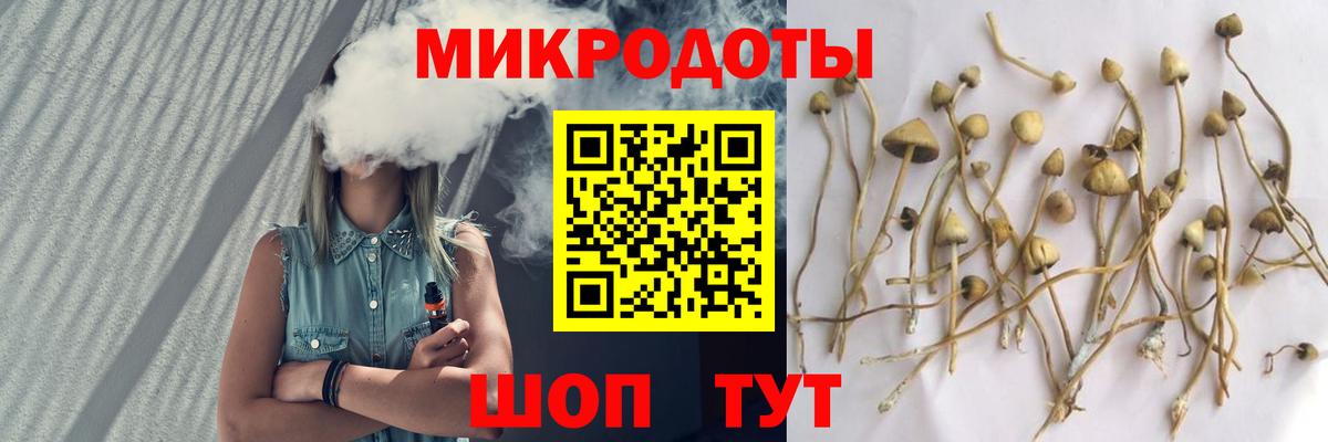 Псилоцибиновые грибы MAGIC MUSHROOMS Протвино